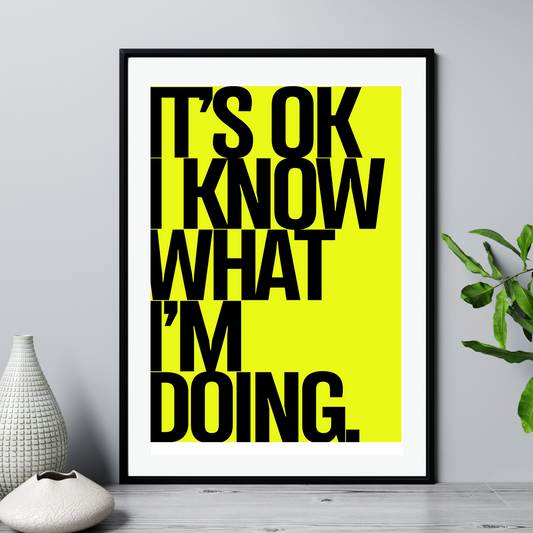 'I know what I'm doing'  - Art Print - Unframed.