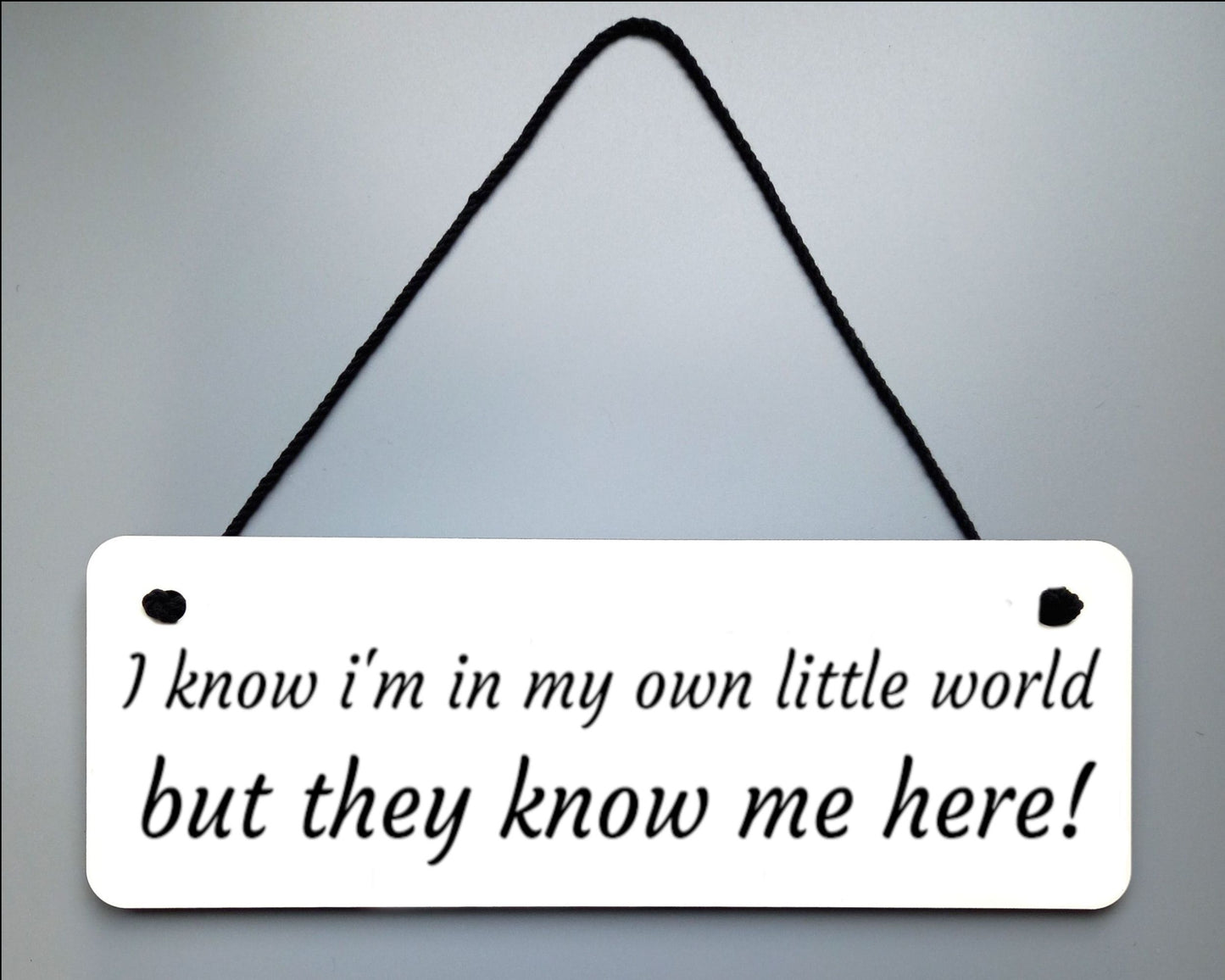 My Own Little World Novelty Hanging Wall Sign