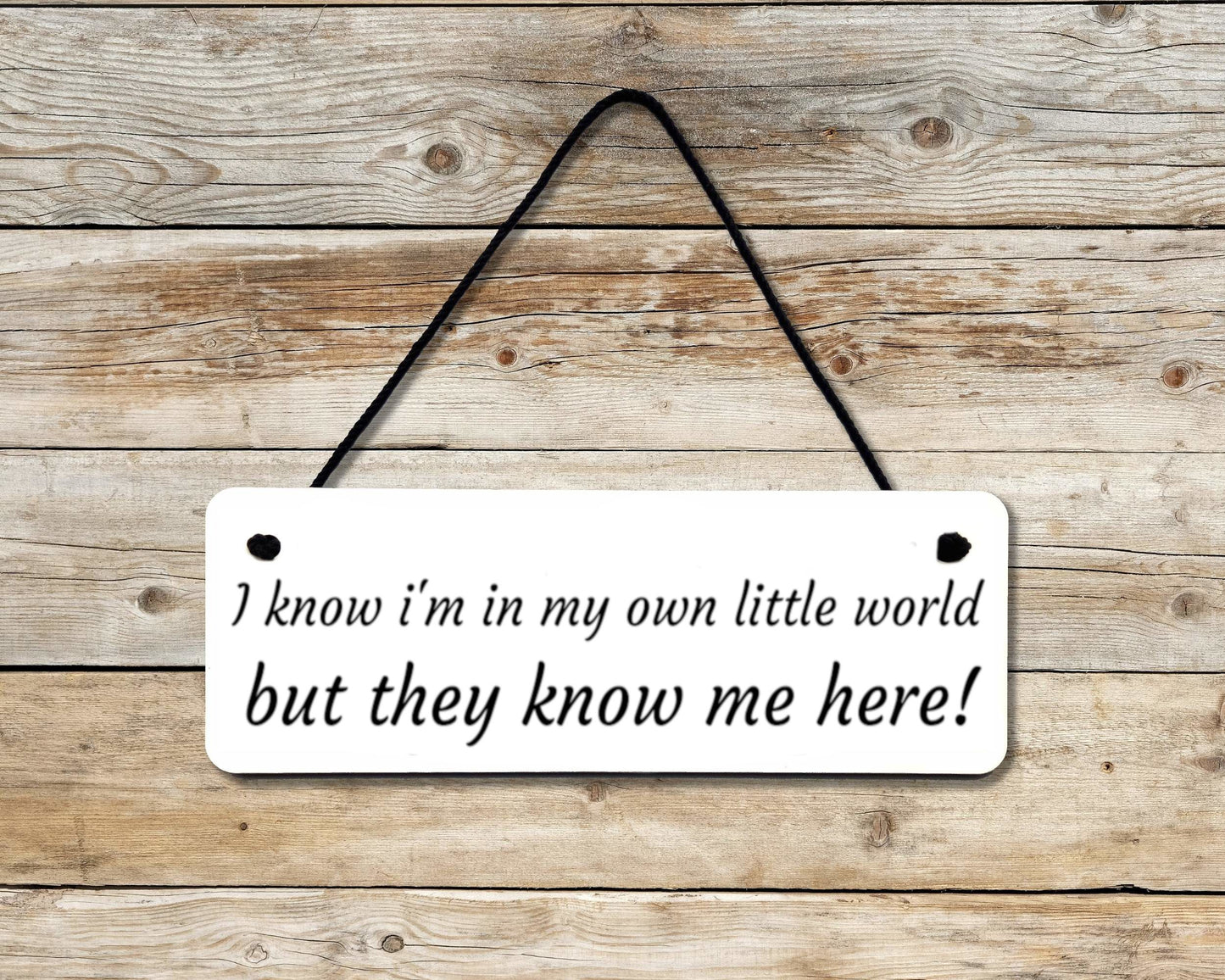 My Own Little World Novelty Hanging Wall Sign
